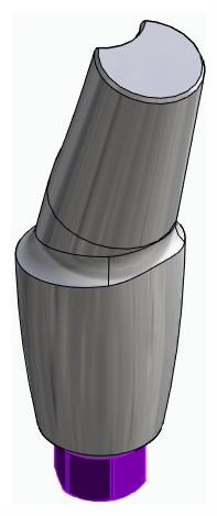 BIONIKA BIOLEVEL, Anatomic abutment, angled, 15°, positioned, type-A
