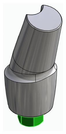 BIONIKA BIOLEVEL, Anatomic abutment, angled, 15°, positioned, type-A