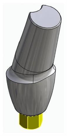 BIONIKA BIOLEVEL, Anatomic abutment, angled, 15°, positioned, type-B