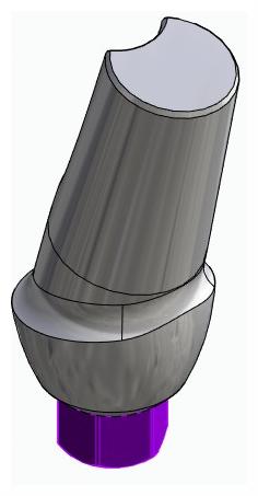 BIONIKA BIOLEVEL, Anatomic abutment, angled, 15°, positioned, type-B