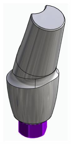 BIONIKA BIOLEVEL, Anatomic abutment, angled, 15°, positioned, type-B