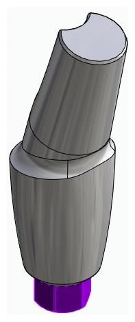 BIONIKA BIOLEVEL, Anatomic abutment, angled, 15°, positioned, type-B