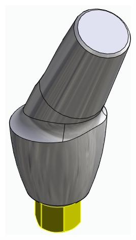 BIONIKA BIOLEVEL, Anatomic abutment, angled, 25°, positioned, type-A