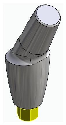 BIONIKA BIOLEVEL, Anatomic abutment, angled, 25°, positioned, type-A