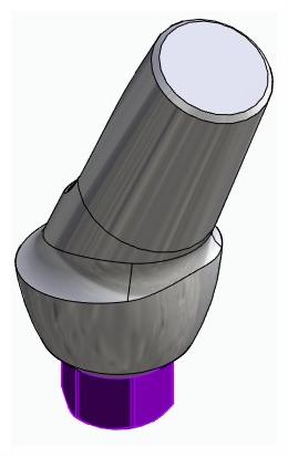 BIONIKA BIOLEVEL, Anatomic abutment, angled, 25°, positioned, type-A