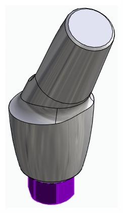 BIONIKA BIOLEVEL, Anatomic abutment, angled, 25°, positioned, type-A