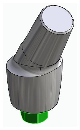 BIONIKA BIOLEVEL, Anatomic abutment, angled, 25°, positioned, type-A