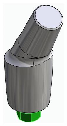 BIONIKA BIOLEVEL, Anatomic abutment, angled, 25°, positioned, type-A