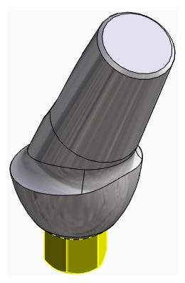 BIONIKA BIOLEVEL, Anatomic abutment, angled, 25°, positioned, type-B