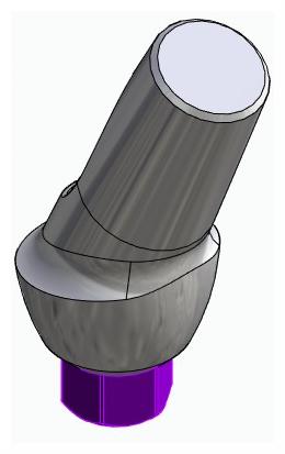 BIONIKA BIOLEVEL, Anatomic abutment, angled, 25°, positioned, type-B