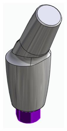 BIONIKA BIOLEVEL, Anatomic abutment, angled, 25°, positioned, type-B