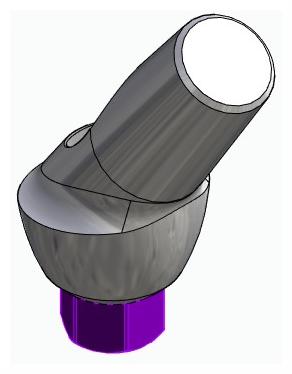 BIONIKA BIOLEVEL, Anatomic abutment, angled, 35°, positioned, type-A