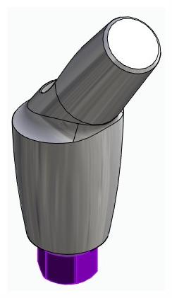 BIONIKA BIOLEVEL, Anatomic abutment, angled, 35°, positioned, type-A