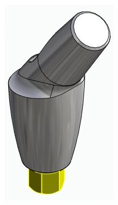 BIONIKA BIOLEVEL, Anatomic abutment, angled, 35°, positioned, type-B