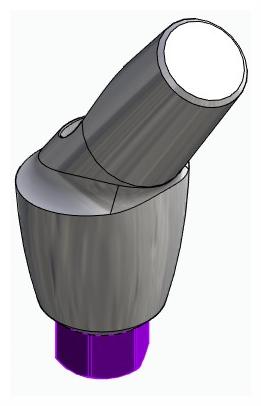BIONIKA BIOLEVEL, Anatomic abutment, angled, 35°, positioned, type-B