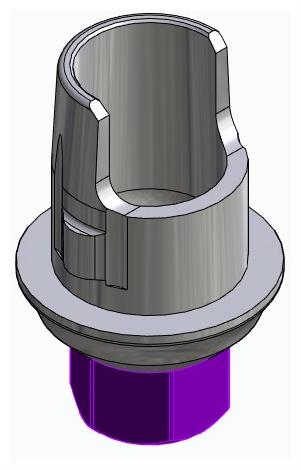 BIONIKA BIOLEVEL, Flexi base, implant level, positioned, type-A