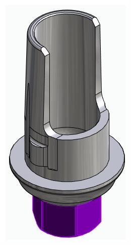 BIONIKA BIOLEVEL, Flexi base, implant level, positioned, type-A