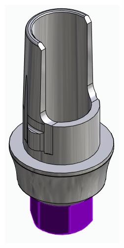 BIONIKA BIOLEVEL, Flexi base, implant level, positioned, type-A