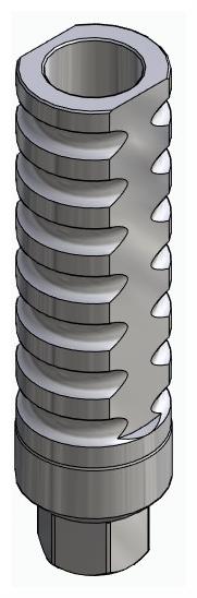 BIONIKA BIOLEVEL, Temporary abutment, implant level, positioned