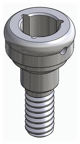BIONIKA BIOLEVEL, Locator abutment, straight