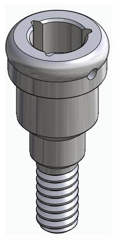BIONIKA BIOLEVEL, Locator abutment, straight