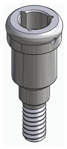 BIONIKA BIOLEVEL, Locator abutment, straight