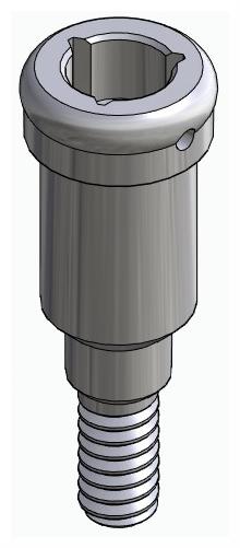 BIONIKA BIOLEVEL, Locator abutment, straight