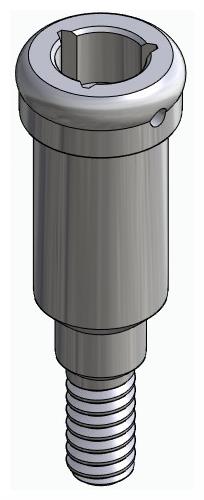 BIONIKA BIOLEVEL, Locator abutment, straight