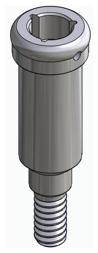 BIONIKA BIOLEVEL, Locator abutment, straight