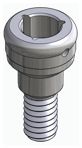 BIONIKA BIOLEVEL, Locator abutment, straight