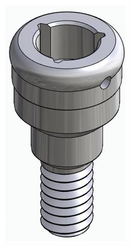 BIONIKA BIOLEVEL, Locator abutment, straight