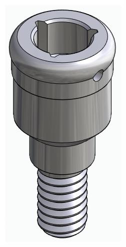 BIONIKA BIOLEVEL, Locator abutment, straight
