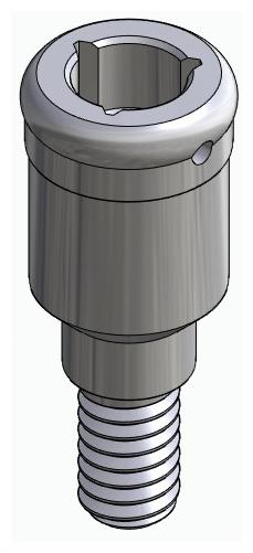 BIONIKA BIOLEVEL, Locator abutment, straight