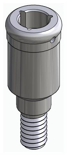 BIONIKA BIOLEVEL, Locator abutment, straight