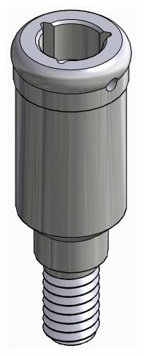 BIONIKA BIOLEVEL, Locator abutment, straight