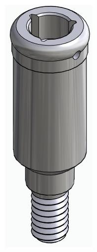 BIONIKA BIOLEVEL, Locator abutment, straight