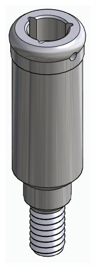 BIONIKA BIOLEVEL, Locator abutment, straight