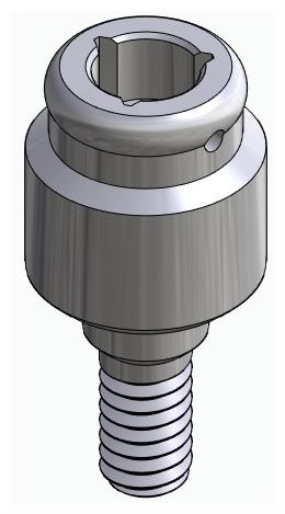 BIONIKA BIOLEVEL, Locator abutment, straight