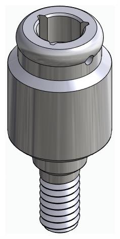 BIONIKA BIOLEVEL, Locator abutment, straight
