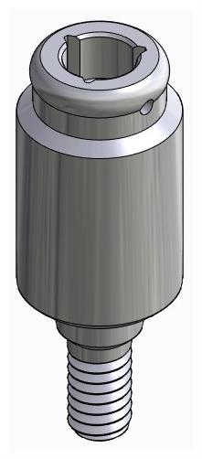 BIONIKA BIOLEVEL, Locator abutment, straight