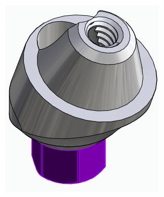 BIONIKA BIOLEVEL, Multi-unit abutment, angled, positioned, wide, LT2, type-A