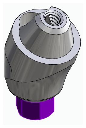 BIONIKA BIOLEVEL, Multi-unit abutment, angled, positioned, wide, LT2, type-A