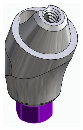 BIONIKA BIOLEVEL, Multi-unit abutment, angled, positioned, wide, LT2, type-A