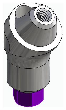 BIONIKA BIOLEVEL, Multi-unit abutment, angled, positioned, wide, LT2, type-A