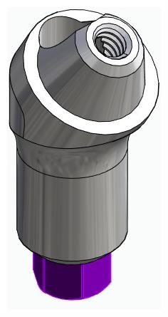 BIONIKA BIOLEVEL, Multi-unit abutment, angled, positioned, wide, LT2, type-A