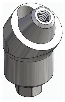 BIONIKA BIOLEVEL, Multi-unit abutment, angled, positioned, wide, LT2, type-A