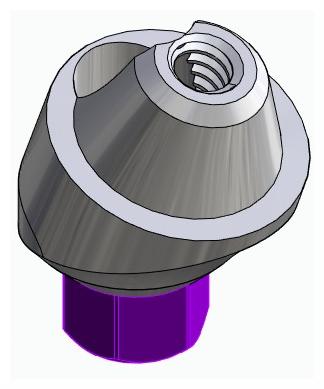 BIONIKA BIOLEVEL, Multi-unit abutment, angled, positioned, wide, LT2, type-B