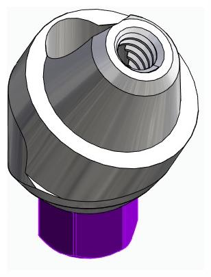 BIONIKA BIOLEVEL, Multi-unit abutment, angled, positioned, wide, LT2, type-B