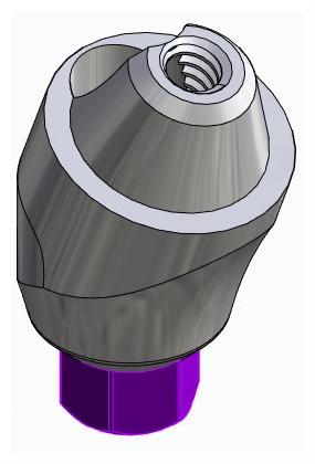 BIONIKA BIOLEVEL, Multi-unit abutment, angled, positioned, wide, LT2, type-B