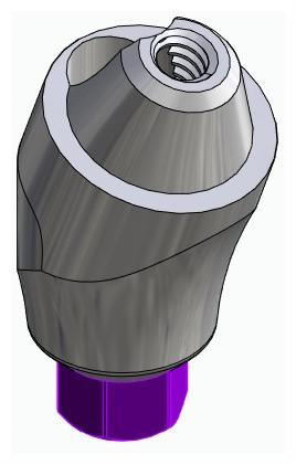 BIONIKA BIOLEVEL, Multi-unit abutment, angled, positioned, wide, LT2, type-B